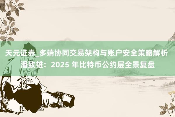天元证券_多端协同交易架构与账户安全策略解析 潘致雄：2025 年比特币公约层全景复盘