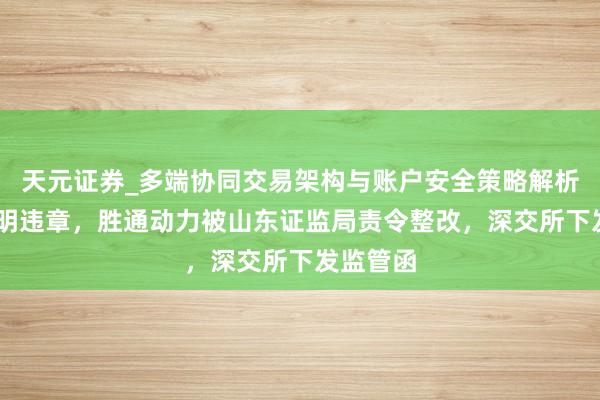 天元证券_多端协同交易架构与账户安全策略解析 收入说明违章，胜通动力被山东证监局责令整改，深交所下发监管函