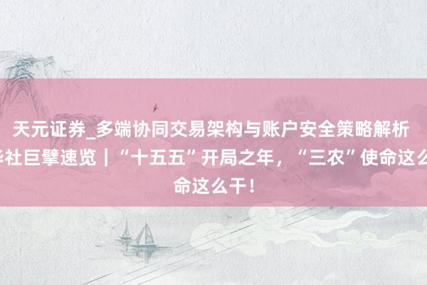 天元证券_多端协同交易架构与账户安全策略解析 新华社巨擘速览｜“十五五”开局之年，“三农”使命这么干！